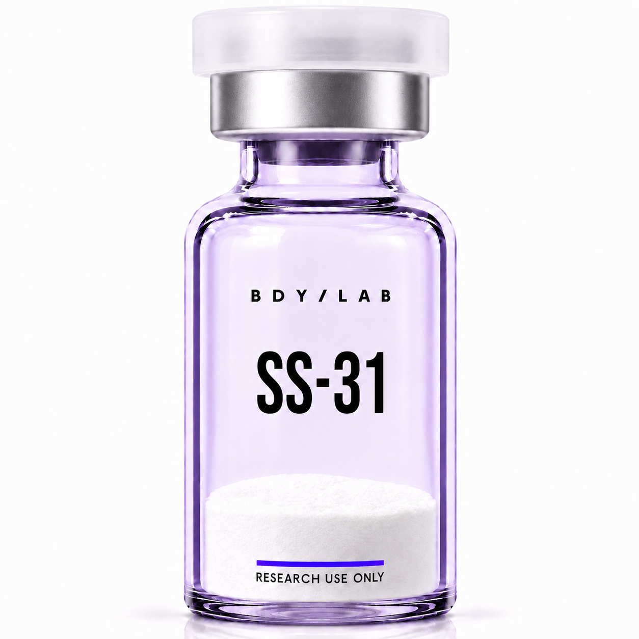 SS31